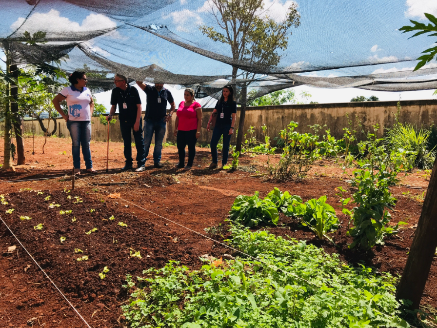 Parceria entre NRE e EMATER gera frutos na Educação do Campo
