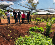 Parceria entre NRE e EMATER gera frutos na Educação do Campo