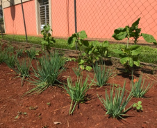 Parceria entre NRE e EMATER gera frutos na Educação do Campo