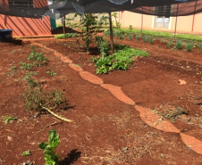 Parceria entre NRE e EMATER gera frutos na Educação do Campo