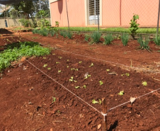 Parceria entre NRE e EMATER gera frutos na Educação do Campo