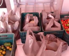 O governador Carlos Massa Ratinho Junior determinou que alimentos adquiridos pelo Estado para compor a merenda escolar sejam distribuídos para famílias de estudantes beneficiários do Bolsa Família. São cerca de 230 mil alunos inscritos no programa no Paraná. Também há a determinação de que o Programa Leite das Crianças, que atinge 110 mil crianças entre 6 meses e 3 anos de idade e envolve 5 mil produtores rurais, seja mantido.