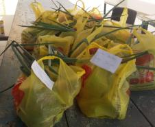 O governador Carlos Massa Ratinho Junior determinou que alimentos adquiridos pelo Estado para compor a merenda escolar sejam distribuídos para famílias de estudantes beneficiários do Bolsa Família. São cerca de 230 mil alunos inscritos no programa no Paraná. Também há a determinação de que o Programa Leite das Crianças, que atinge 110 mil crianças entre 6 meses e 3 anos de idade e envolve 5 mil produtores rurais, seja mantido.