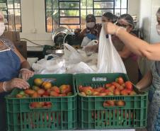 O governador Carlos Massa Ratinho Junior determinou que alimentos adquiridos pelo Estado para compor a merenda escolar sejam distribuídos para famílias de estudantes beneficiários do Bolsa Família. São cerca de 230 mil alunos inscritos no programa no Paraná. Também há a determinação de que o Programa Leite das Crianças, que atinge 110 mil crianças entre 6 meses e 3 anos de idade e envolve 5 mil produtores rurais, seja mantido.