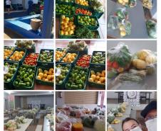 O governador Carlos Massa Ratinho Junior determinou que alimentos adquiridos pelo Estado para compor a merenda escolar sejam distribuídos para famílias de estudantes beneficiários do Bolsa Família. São cerca de 230 mil alunos inscritos no programa no Paraná. Também há a determinação de que o Programa Leite das Crianças, que atinge 110 mil crianças entre 6 meses e 3 anos de idade e envolve 5 mil produtores rurais, seja mantido.