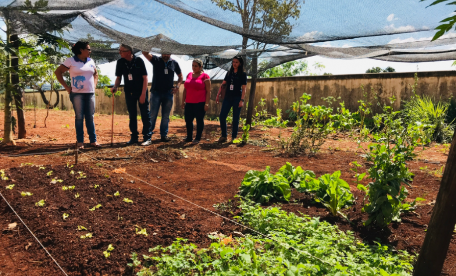 Parceria entre NRE e EMATER gera frutos na Educação do Campo