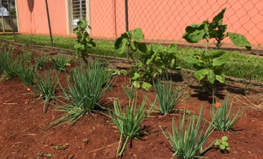 Parceria entre NRE e EMATER gera frutos na Educação do Campo