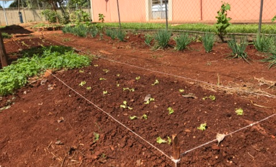 Parceria entre NRE e EMATER gera frutos na Educação do Campo