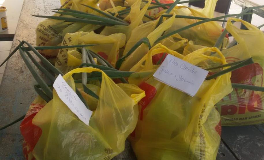 O governador Carlos Massa Ratinho Junior determinou que alimentos adquiridos pelo Estado para compor a merenda escolar sejam distribuídos para famílias de estudantes beneficiários do Bolsa Família. São cerca de 230 mil alunos inscritos no programa no Paraná. Também há a determinação de que o Programa Leite das Crianças, que atinge 110 mil crianças entre 6 meses e 3 anos de idade e envolve 5 mil produtores rurais, seja mantido.