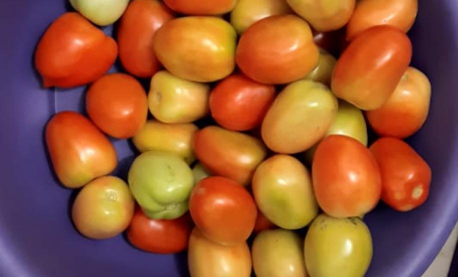 O governador Carlos Massa Ratinho Junior determinou que alimentos adquiridos pelo Estado para compor a merenda escolar sejam distribuídos para famílias de estudantes beneficiários do Bolsa Família. São cerca de 230 mil alunos inscritos no programa no Paraná. Também há a determinação de que o Programa Leite das Crianças, que atinge 110 mil crianças entre 6 meses e 3 anos de idade e envolve 5 mil produtores rurais, seja mantido.