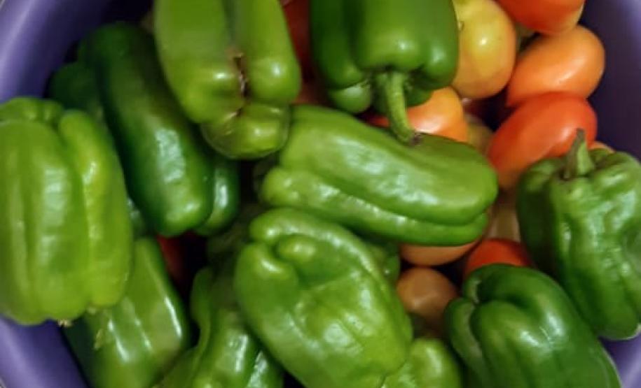 O governador Carlos Massa Ratinho Junior determinou que alimentos adquiridos pelo Estado para compor a merenda escolar sejam distribuídos para famílias de estudantes beneficiários do Bolsa Família. São cerca de 230 mil alunos inscritos no programa no Paraná. Também há a determinação de que o Programa Leite das Crianças, que atinge 110 mil crianças entre 6 meses e 3 anos de idade e envolve 5 mil produtores rurais, seja mantido.